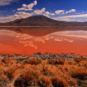 BOLIVIA ESENCIAL 8N