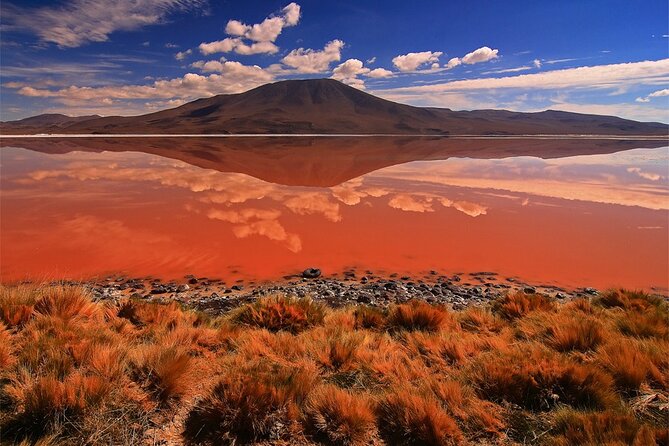 BOLIVIA ESENCIAL 8N