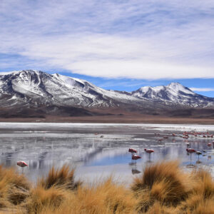 BOLIVIA MARAVILLOSO 5N